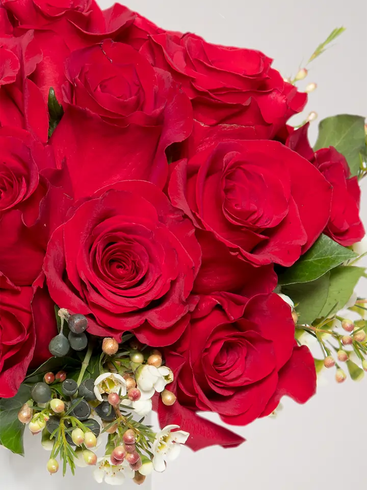 Bouquet di rose rosse e waxflowers macro